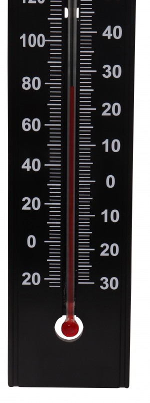 Thermomètre plastique noir 20 cm