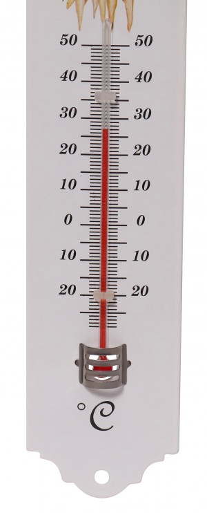 Thermomètre métal 20 cm déco potager