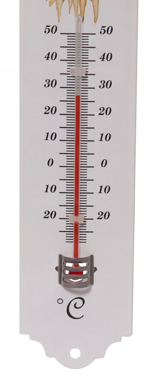Thermomètre métal 20 cm déco potager