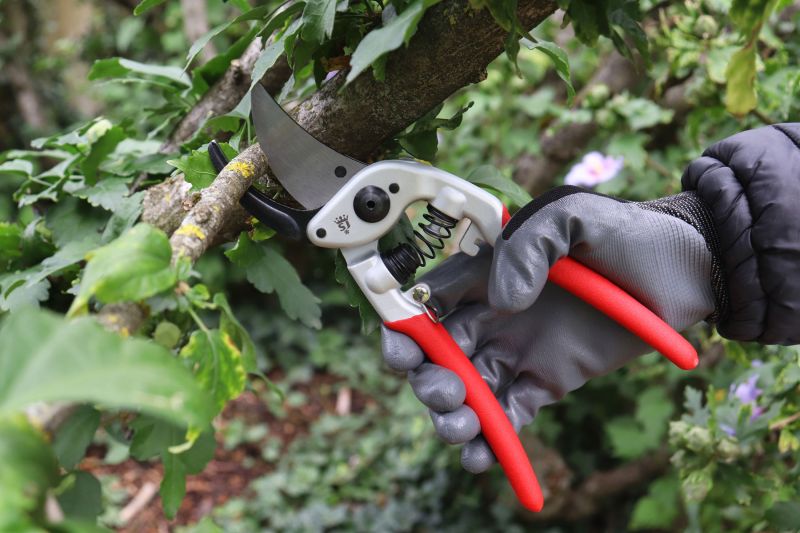 Sécateur Bahco Sécateur Traditionnel 200 Mm P121-20-F