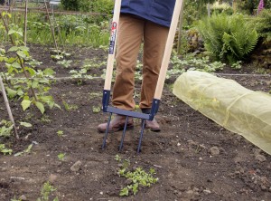 Jardin et potager