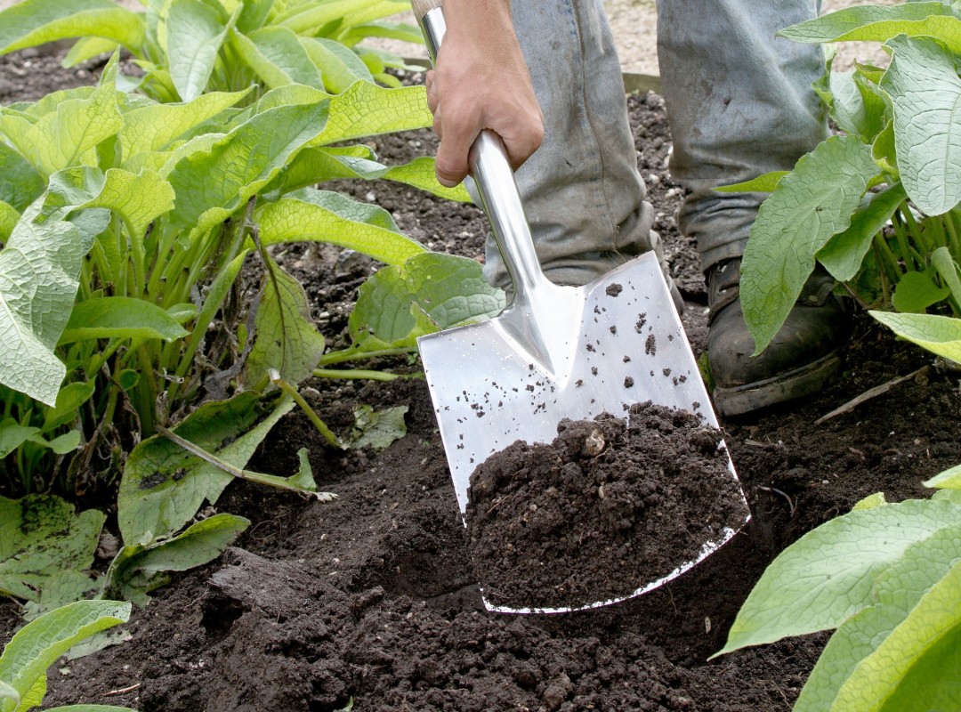 Outils de jardin