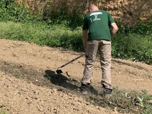 Plantation et semis