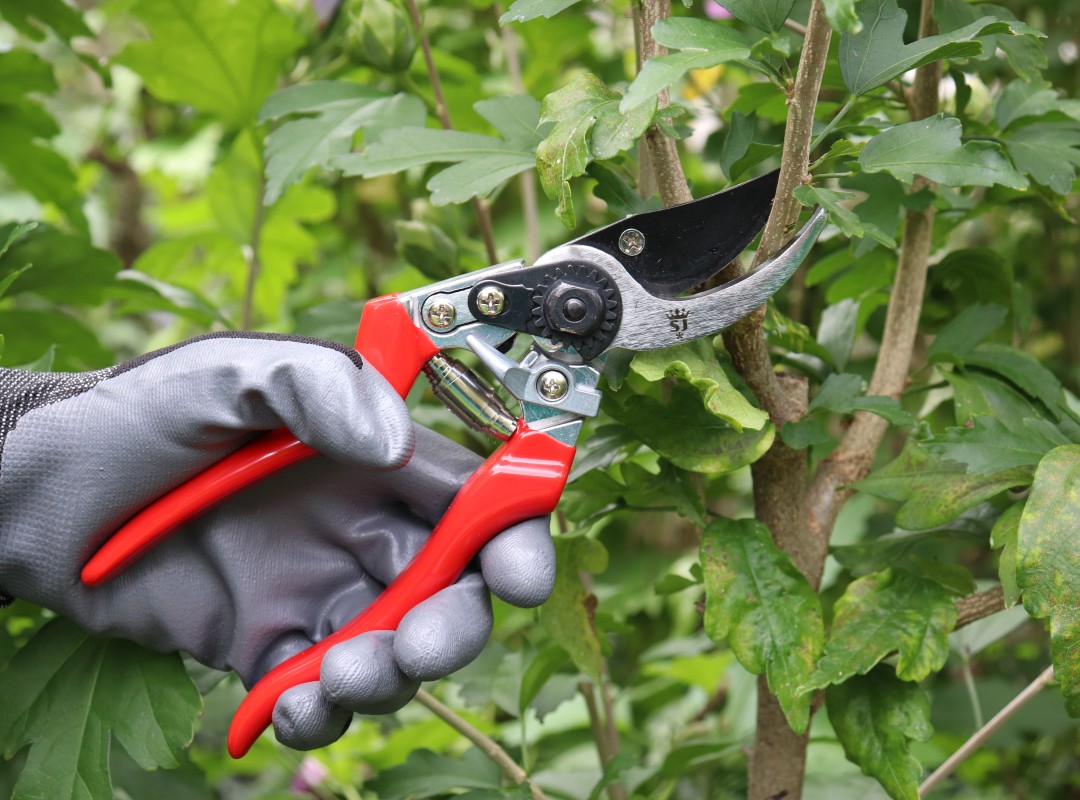 Sécateur de jardin en métal